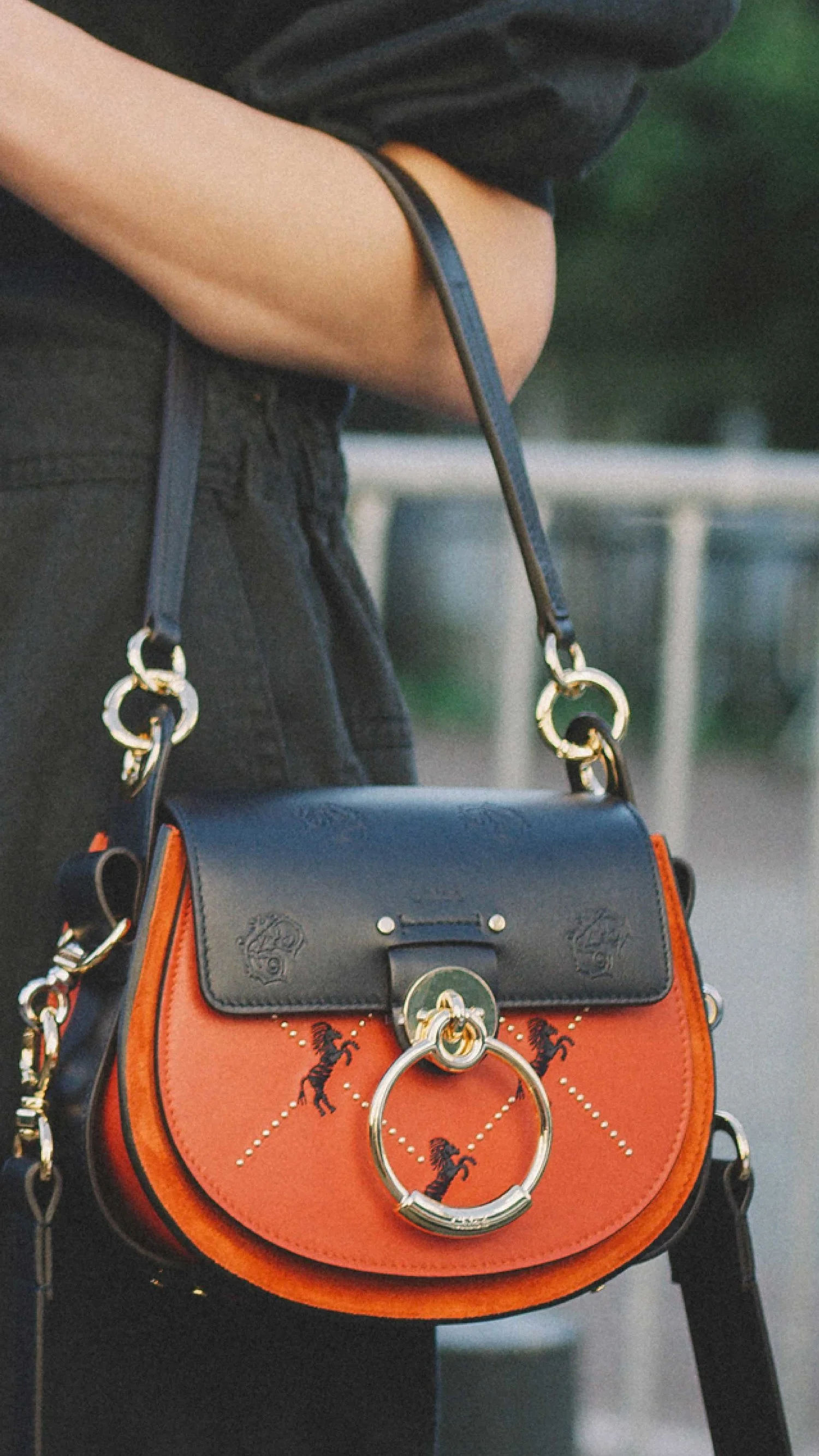 Chloe bag top street style